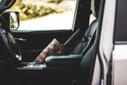 Coyote Rifle Scabbard in Toyota