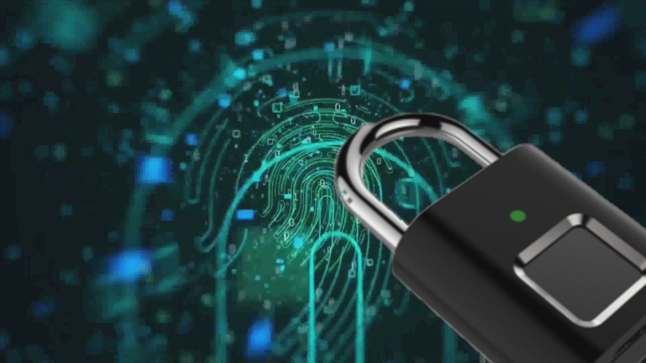 TOKK Fingerprint Small Lock